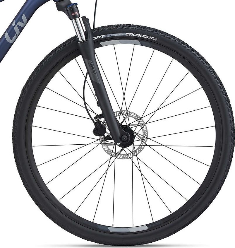 giant rove 2 2021