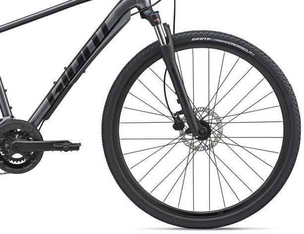 giant roam 2 disc charcoal