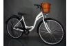 Rower City Elegance 26
