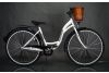 Rower City Elegance 28