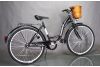 Rower City Elegance 26
