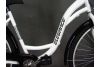Rower City Elegance 26