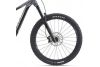 Rower enduro Giant Reign 29 1 FOX 38