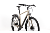 Rower Trekkingowy Giant Anytour CS na pasku