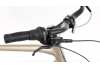 Rower Trekkingowy Giant Anytour CS na pasku