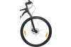 Rower crossowy męski Giant Roam 2 1