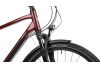 Rower trekkingowy Giant AnyTour RS 1 rower meski