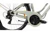 Rower Miejski Damski Dla Kobiety z Damską ramą Giant liv Flourish FS 1 2 3 4