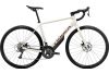 Rower szosowy wygodny Endurance Orbea AVANT H60 1