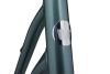 giant liv flourish fs disc 0 rower damski miejski na pasku gates napedowym nexus 28