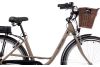 Rower elektryczny miejski damski Goetze DC1 3