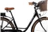 Rower elektryczny miejski damski Goetze DC1 7