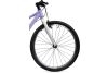 Rower górski dziecięcy lekki Goetze Light 24