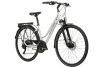 Rower trekkingowy damski Kross Trans 5.0 2024 BG + Licznik Gratis