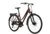 Rower trekkingowy damski Kross Trans 5.0 2024 BG + Licznik Gratis