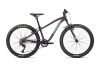Rower dziecięcy Orbea MX 24 Dirt + Gratis Licznik
