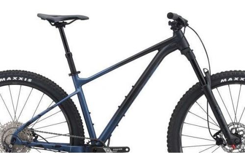 Rower górski Giant Fathom 29 2 2021