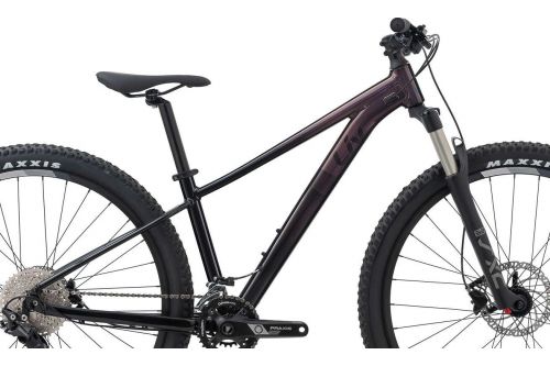 Tempt hotsell 1 2021