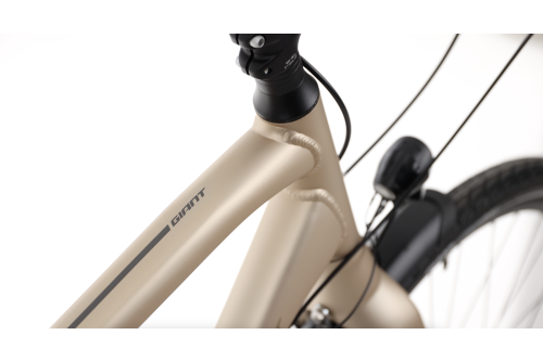 Rower Trekkingowy Giant Anytour CS na pasku