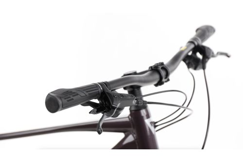 Rower crossowy męski Giant Roam 2 4