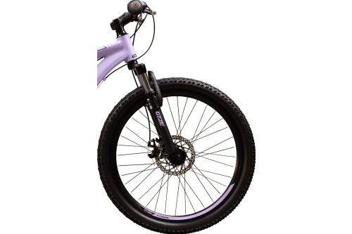 Rower górski młodzieżowy Goetze Sigma 24 10