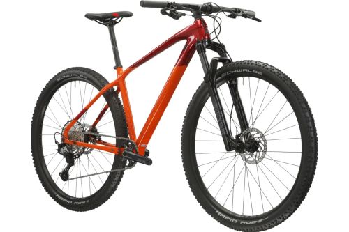 Rower Kross górski Level męski 10.0 z kolekcji 2025