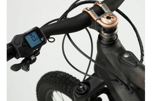 Rower elektryczny NS Bikes E-Fine 2 w 100% gotowy + Pedały GR500