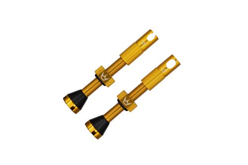 Wentyle tubeless Peaty,s X Chris King Gold