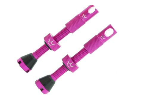 Wentyle tubeless Peaty,s X Chris King Punch