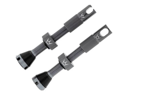 Wentyle tubeless Peaty,s X Chris King Slate