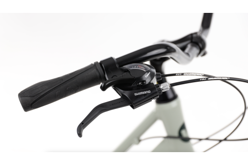 Rower Miejski Damski Dla Kobiety z Damską ramą Giant liv Flourish FS 1 2 3 4