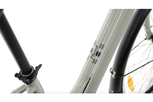 Rower Miejski Damski Dla Kobiety z Damską ramą Giant liv Flourish FS 1 2 3 4
