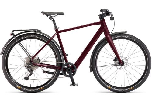 Rower-elektryczny-miejski-trekkingowy-Winora-E-flitzer 3